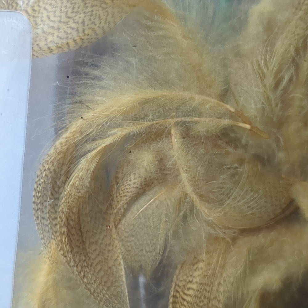 Authentic Feather Collection - Picture 6 of 9